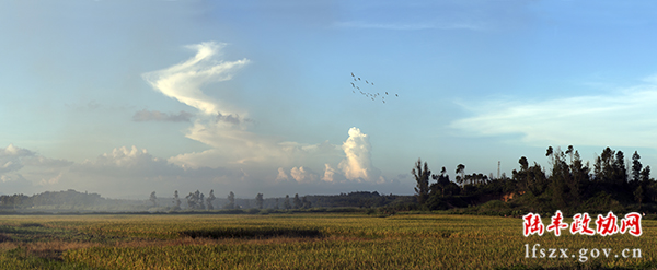 《歸》李進朝攝