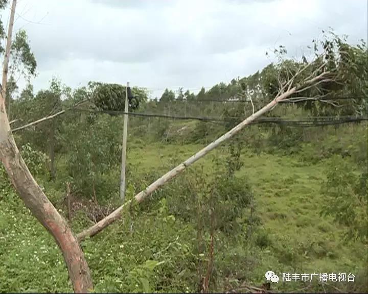 微信圖片_20180918085736