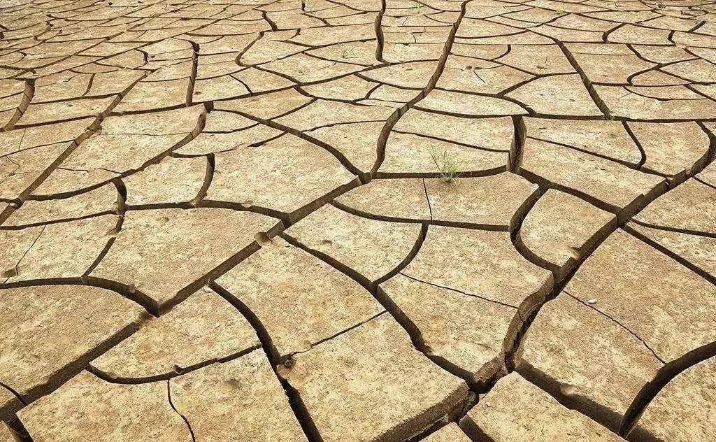 微信圖片_20180923174119