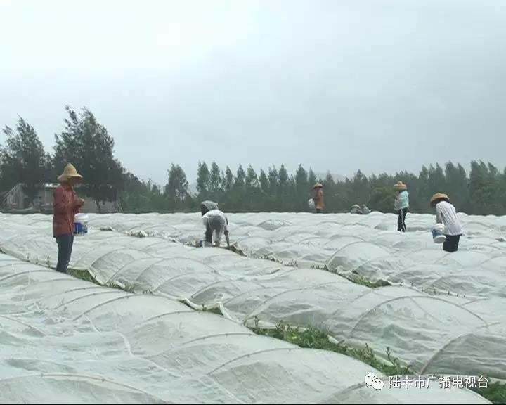 微信圖片_20180918085727