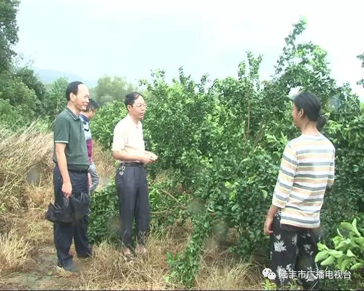 微信圖片_20180918085724