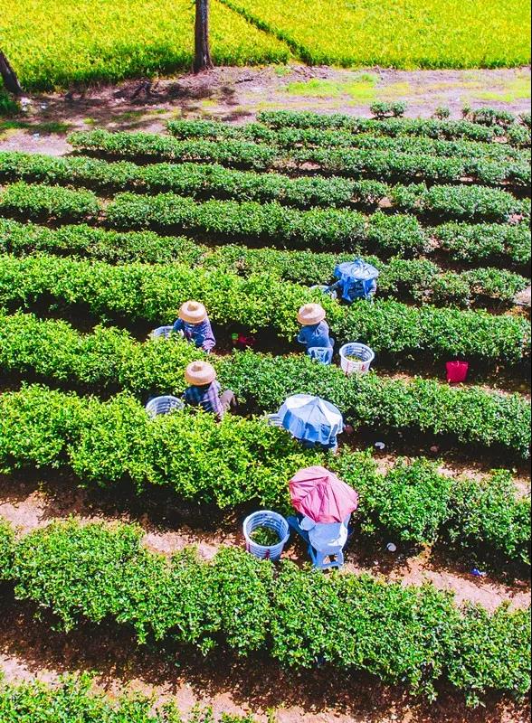 1af5196dae1149e17c30fb309b71f591