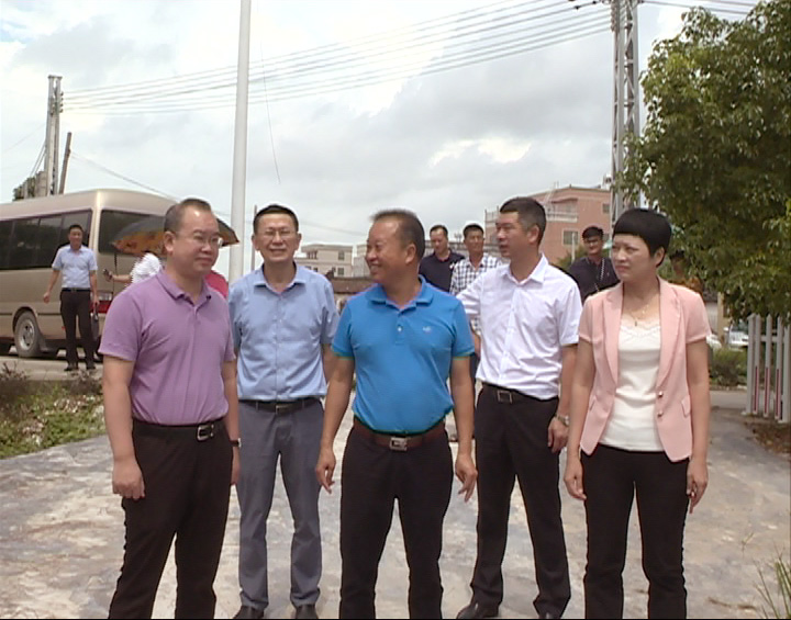 李漢流帶隊調研農村人居環(huán)境整治_11050