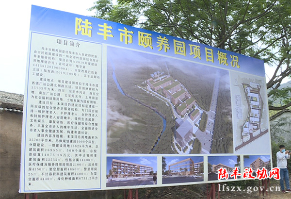 陸豐新聞20200425_4107